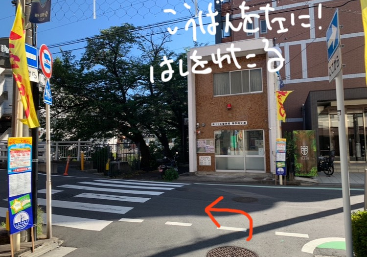 てらしま接骨院