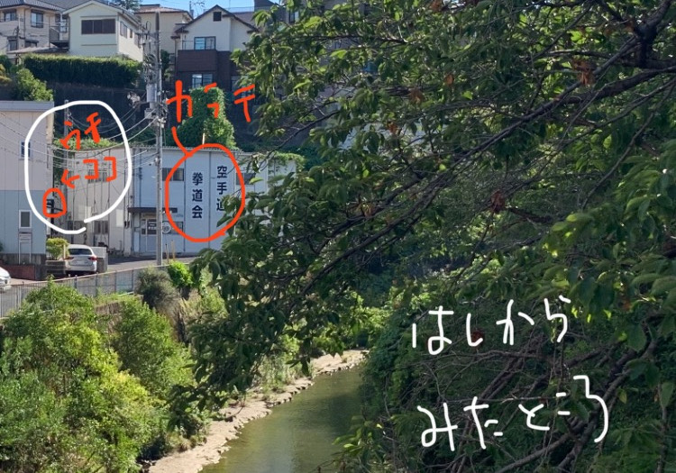 てらしま接骨院