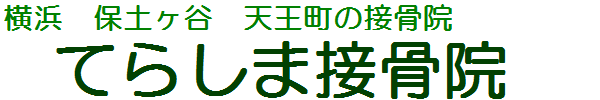 てらしま接骨院